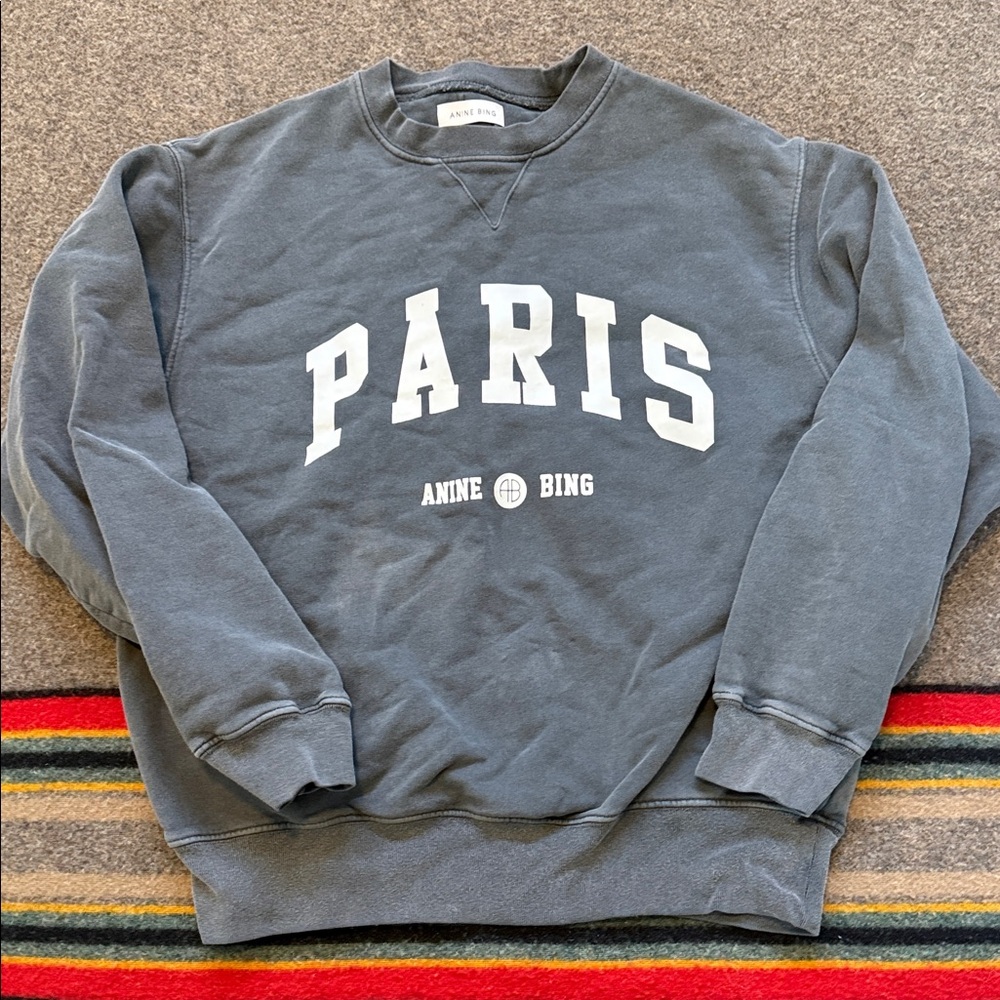 Anine Bing Crewneck Sweatshirt in Charcoal with White 'PARIS' Graphic